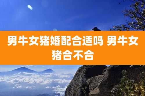 男牛女猪婚配合适吗 男牛女猪合不合