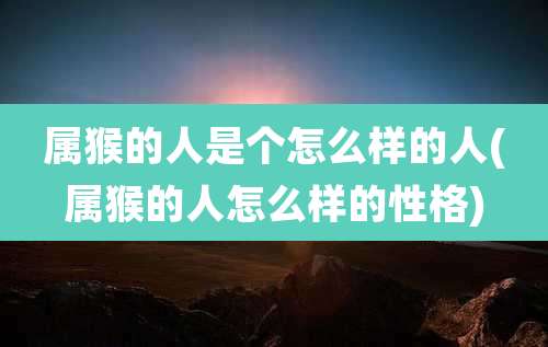 属猴的人是个怎么样的人(属猴的人怎么样的性格)