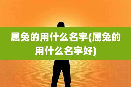 属兔的用什么名字(属兔的用什么名字好)