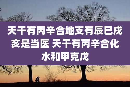天干有丙辛合地支有辰巳戌亥是当医 天干有丙辛合化水和甲克戊