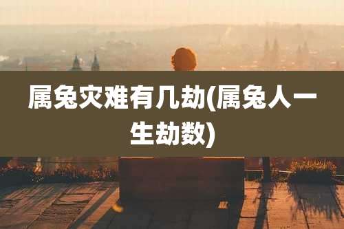 属兔灾难有几劫(属兔人一生劫数)