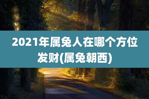 2021年属兔人在哪个方位发财(属兔朝西)