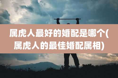 属虎人最好的婚配是哪个(属虎人的最佳婚配属相)
