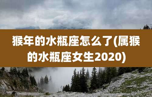 猴年的水瓶座怎么了(属猴的水瓶座女生2020)