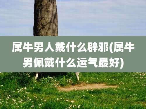 属牛男人戴什么辟邪(属牛男佩戴什么运气最好)