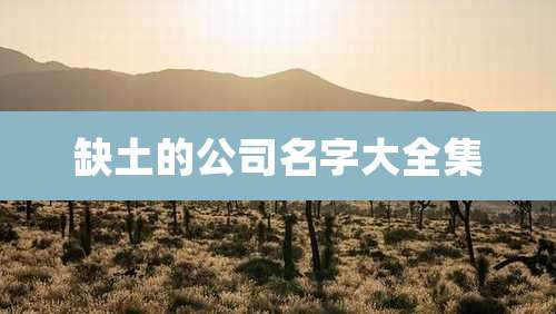 缺土的公司名字大全集