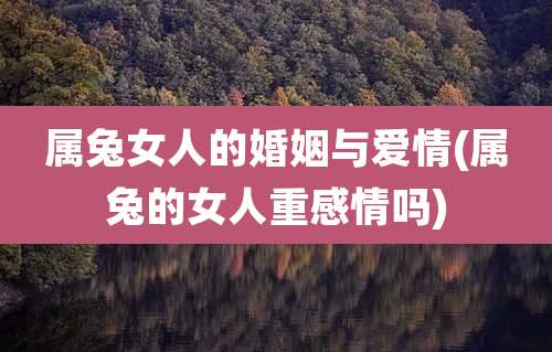 属兔女人的婚姻与爱情(属兔的女人重感情吗)