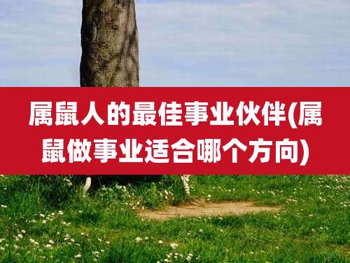 属鼠人的最佳事业伙伴(属鼠做事业适合哪个方向)