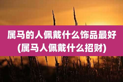 属马的人佩戴什么饰品最好(属马人佩戴什么招财)