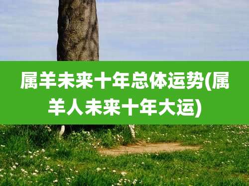 属羊未来十年总体运势(属羊人未来十年大运)