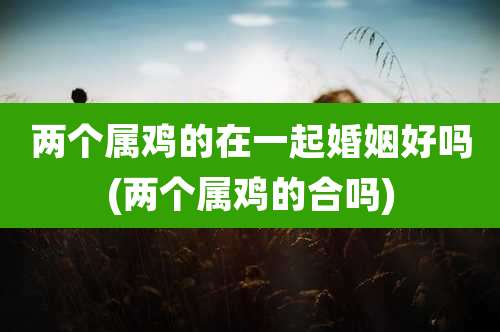 两个属鸡的在一起婚姻好吗(两个属鸡的合吗)