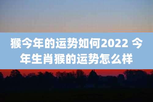 猴今年的运势如何2022 今年生肖猴的运势怎么样