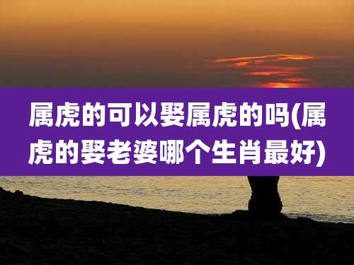 属虎的可以娶属虎的吗(属虎的娶老婆哪个生肖最好)