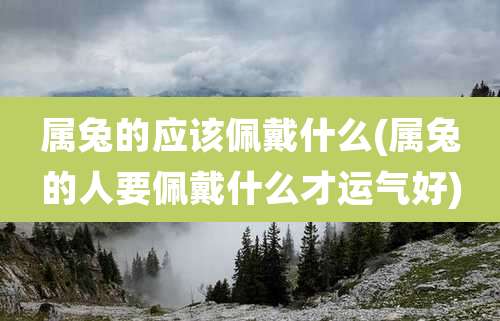 属兔的应该佩戴什么(属兔的人要佩戴什么才运气好)