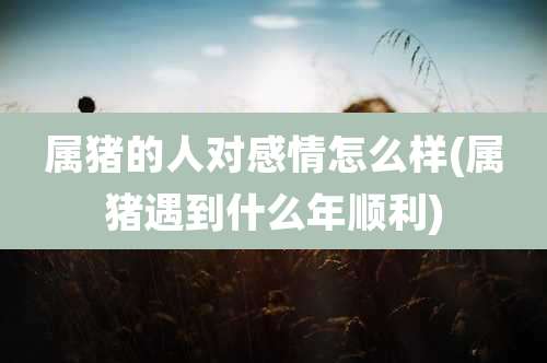 属猪的人对感情怎么样(属猪遇到什么年顺利)