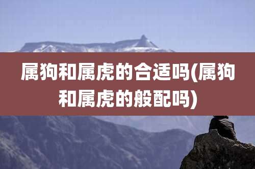 属狗和属虎的合适吗(属狗和属虎的般配吗)