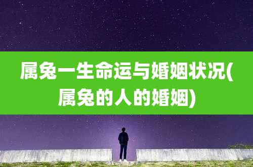 属兔一生命运与婚姻状况(属兔的人的婚姻)