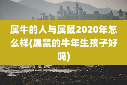属牛的人与属鼠2020年怎么样(属鼠的牛年生孩子好吗)