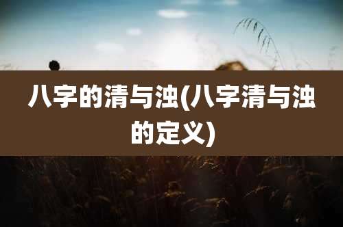 八字的清与浊(八字清与浊的定义)