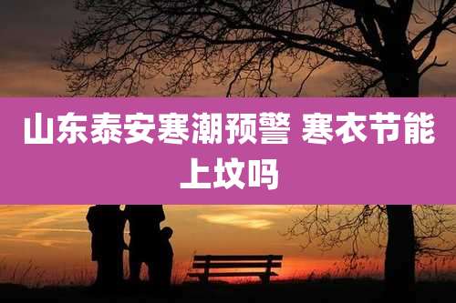 山东泰安寒潮预警 寒衣节能上坟吗
