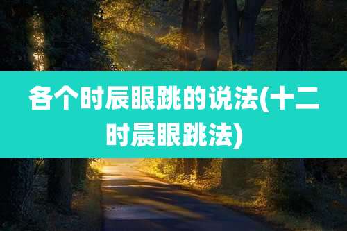 各个时辰眼跳的说法(十二时晨眼跳法)
