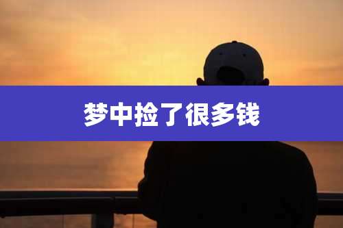 梦中捡了很多钱