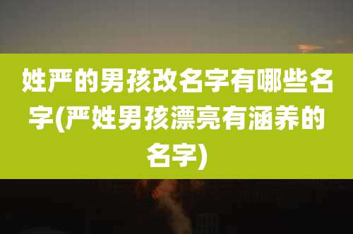 姓严的男孩改名字有哪些名字(严姓男孩漂亮有涵养的名字)