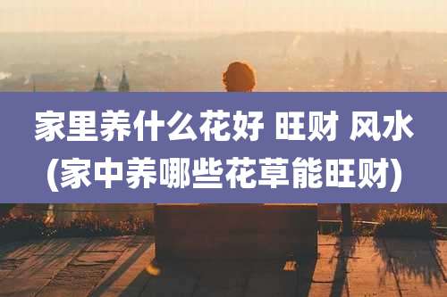 家里养什么花好 旺财 风水(家中养哪些花草能旺财)