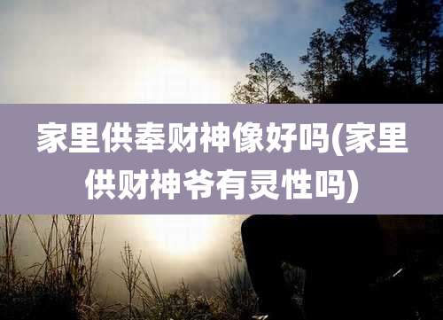 家里供奉财神像好吗(家里供财神爷有灵性吗)