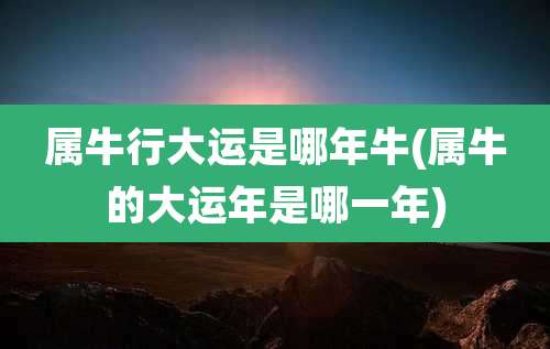 属牛行大运是哪年牛(属牛的大运年是哪一年)