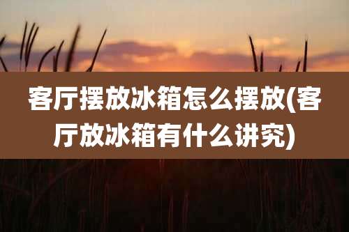客厅摆放冰箱怎么摆放(客厅放冰箱有什么讲究)