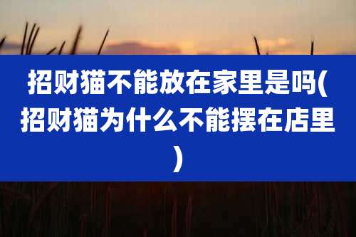 招财猫不能放在家里是吗(招财猫为什么不能摆在店里)