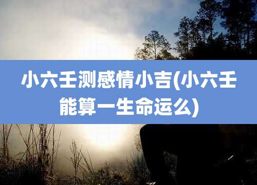 小六壬测感情小吉(小六壬能算一生命运么)