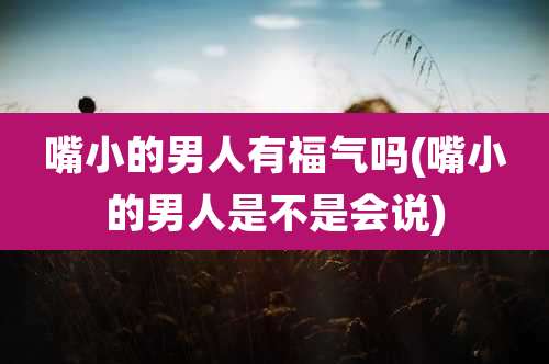 嘴小的男人有福气吗(嘴小的男人是不是会说)