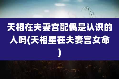 天相在夫妻宫配偶是认识的人吗(天相星在夫妻宫女命)