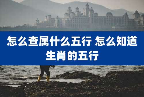 怎么查属什么五行 怎么知道生肖的五行