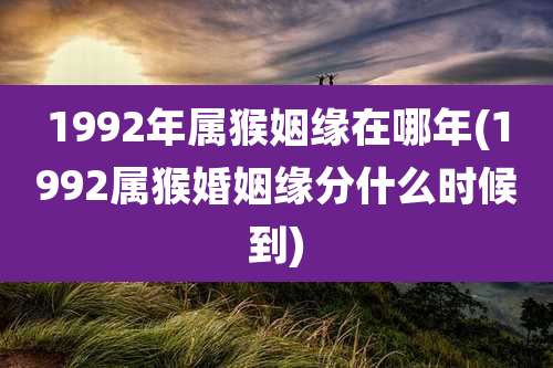 1992年属猴姻缘在哪年(1992属猴婚姻缘分什么时候到)