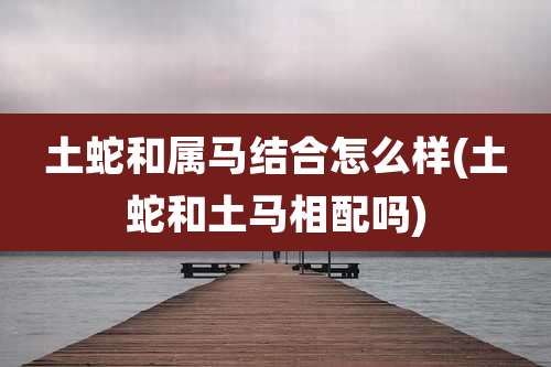土蛇和属马结合怎么样(土蛇和土马相配吗)