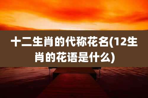 十二生肖的代称花名(12生肖的花语是什么)