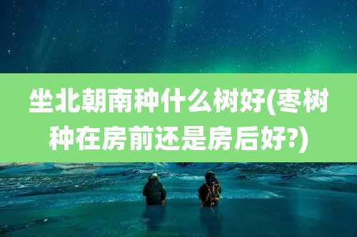 坐北朝南种什么树好(枣树种在房前还是房后好?)