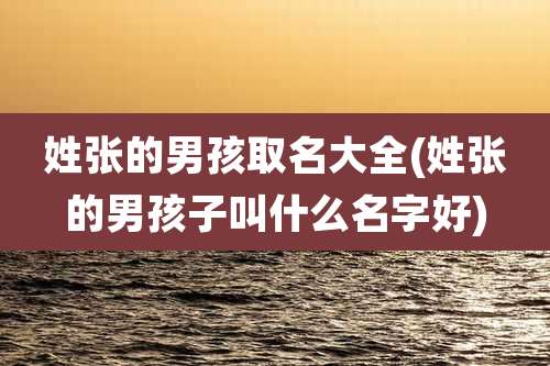 姓张的男孩取名大全(姓张的男孩子叫什么名字好)