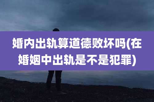 婚内出轨算道德败坏吗(在婚姻中出轨是不是犯罪)