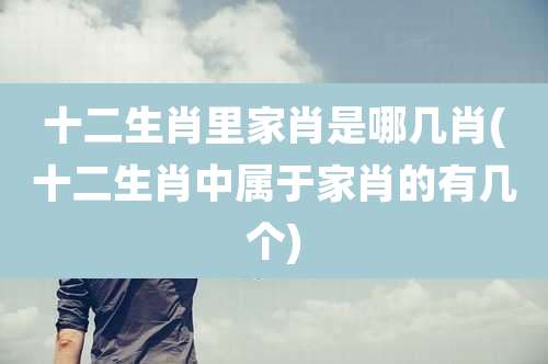 十二生肖里家肖是哪几肖(十二生肖中属于家肖的有几个)