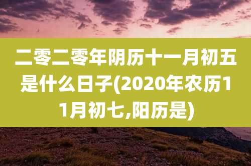二零二零年阴历十一月初五是什么日子(2020年农历11月初七,阳历是)