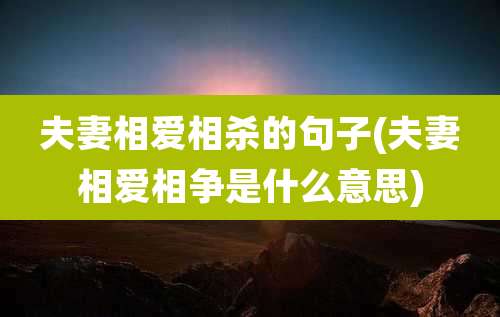 夫妻相爱相杀的句子(夫妻相爱相争是什么意思)