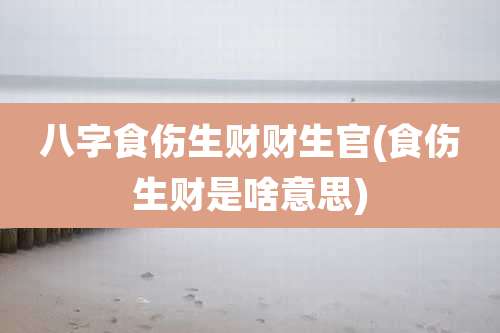 八字食伤生财财生官(食伤生财是啥意思)