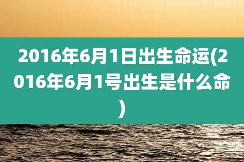 2016年6月1日出生命运(2016年6月1号出生是什么命)