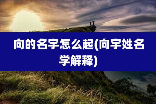 向的名字怎么起(向字姓名学解释)