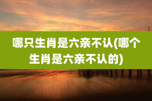 哪只生肖是六亲不认(哪个生肖是六亲不认的)