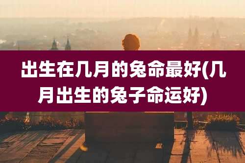 出生在几月的兔命最好(几月出生的兔子命运好)